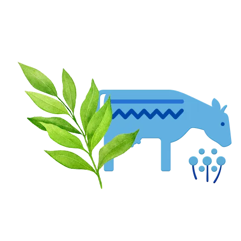 Молоко 2,5%, 1400 мл